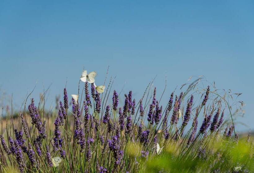 هتل Borgo Alba Barona Turismo Rurale