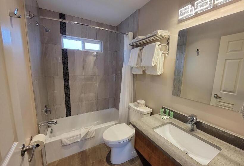 בית מלון כפרי Sahara Courtyard Inn Osoyoos