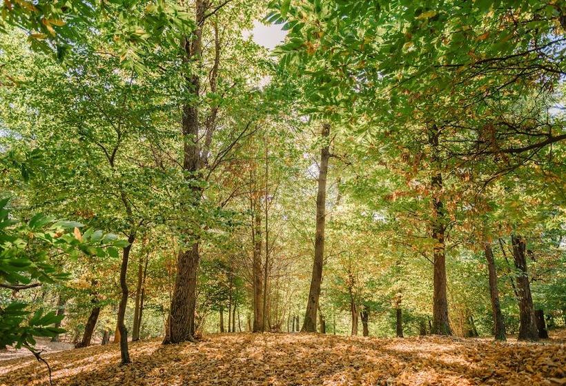 酒店 Tenuta De L Annunziata  Natural Relais