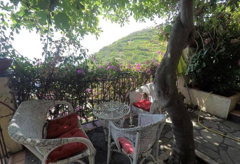 酒店 Cinqueterre Holidays