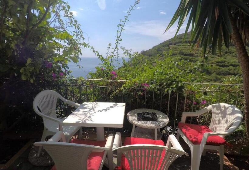 酒店 Cinqueterre Holidays