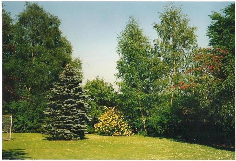 Отель Gästehaus Hankhausen