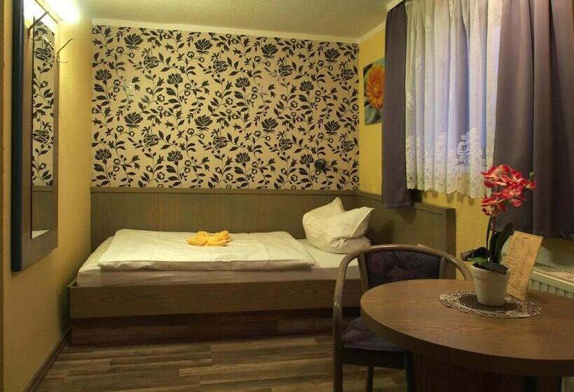 هتل Pension Ottendorf Okrilla