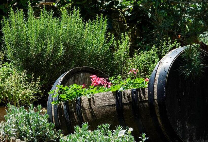 Torciano Hotel Wine & Winery, Tuscany