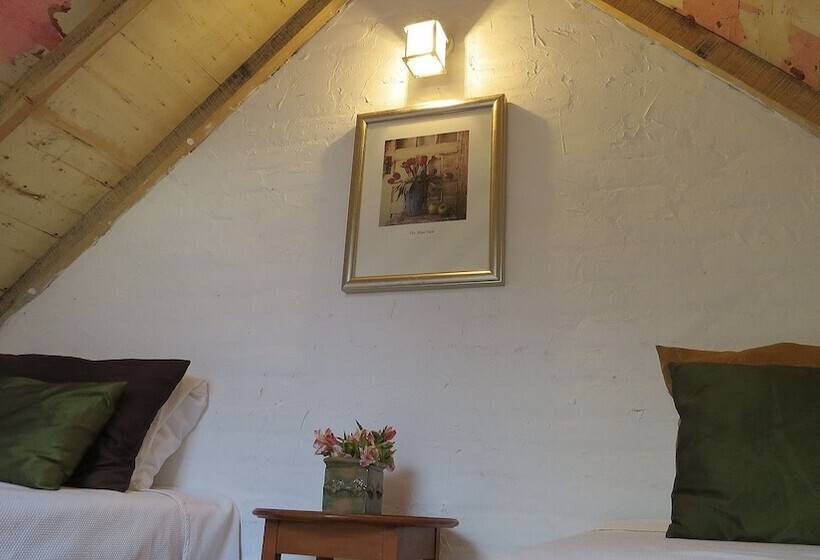 فندق فئة نجمة واحدة Cielito Mexicano