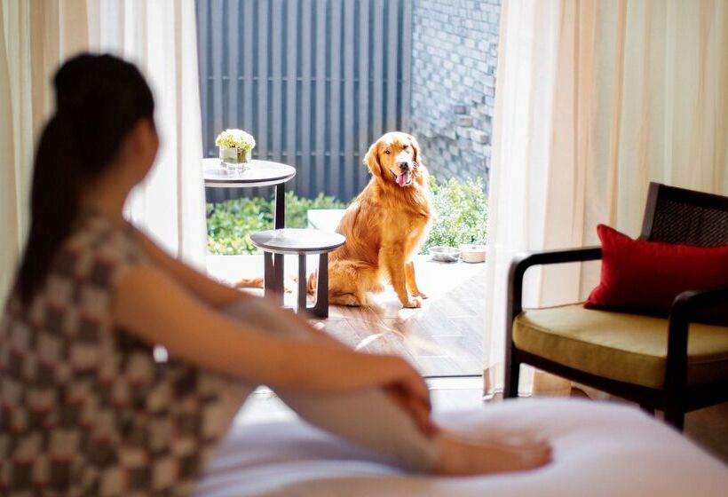Fotos del hotel Hyatt Regency Chongming:  67
