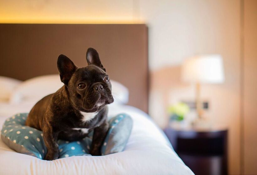 Fotos del hotel Hyatt Regency Chongming:  36