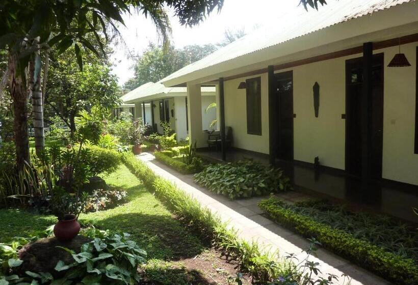 هتل Bristol Cottages Kilimanjaro