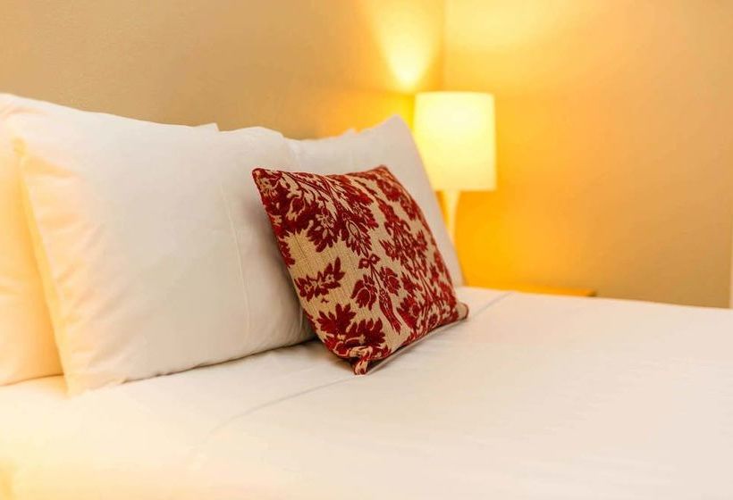 فندق Globe Apartments