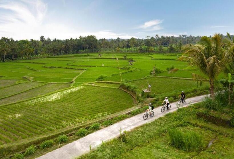هتل Padma Resort Ubud
