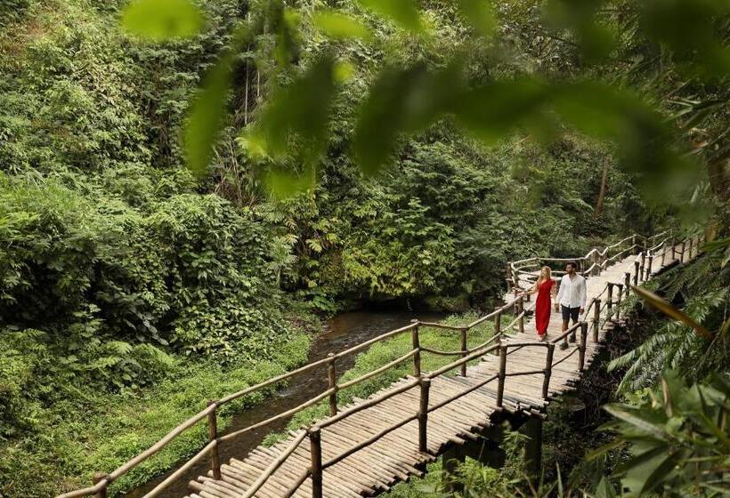 هتل Padma Resort Ubud