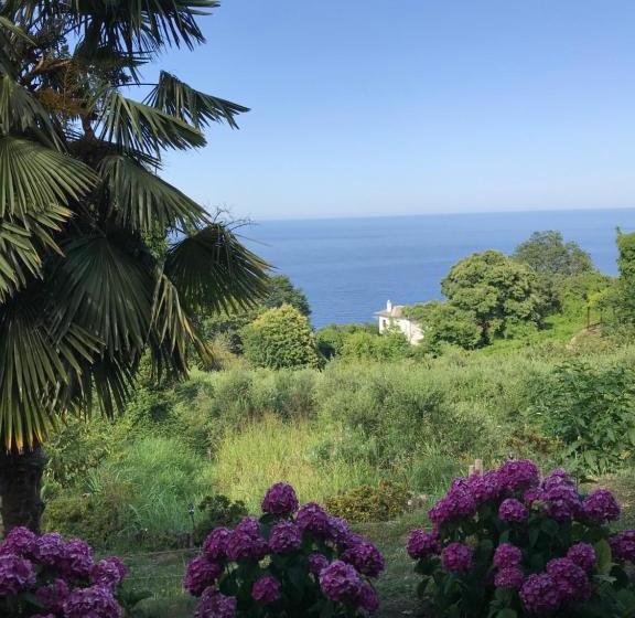 پانسیون Gardenia Studios