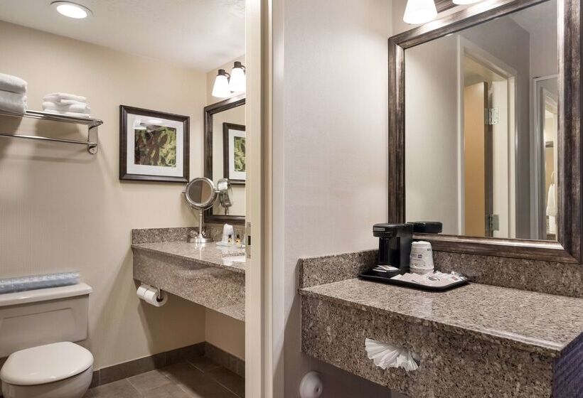 هتل Best Western Plus Cedar City