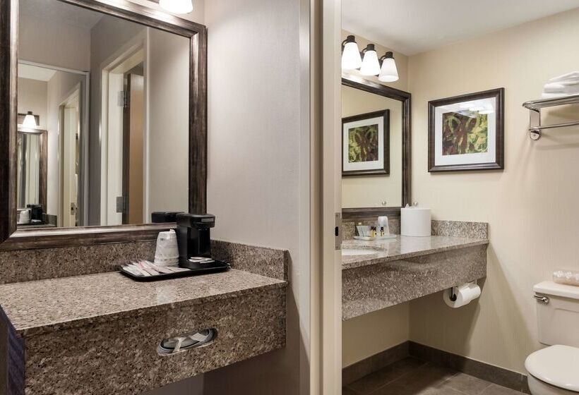 هتل Best Western Plus Cedar City