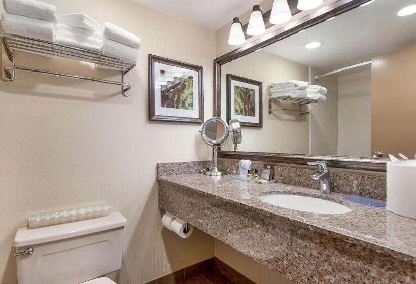 هتل Best Western Plus Cedar City