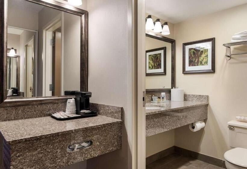 هتل Best Western Plus Cedar City