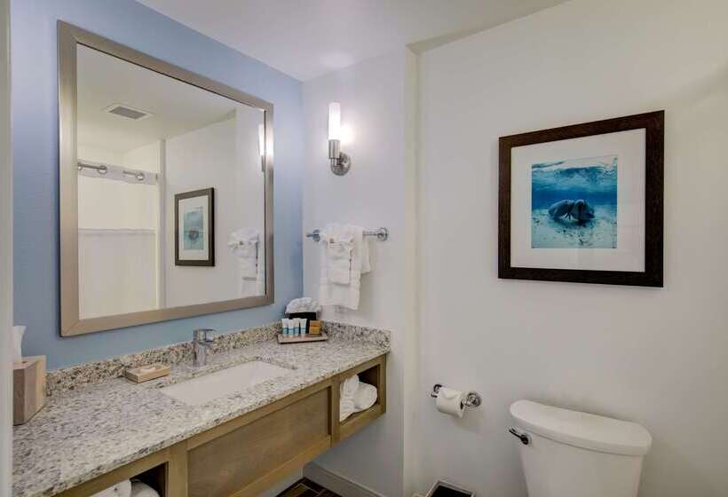 هتل Best Western Premier   The Tides