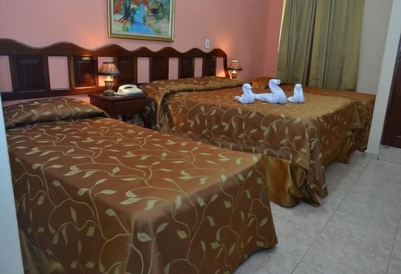 Fotos del hotel Duque De Wellington:  8