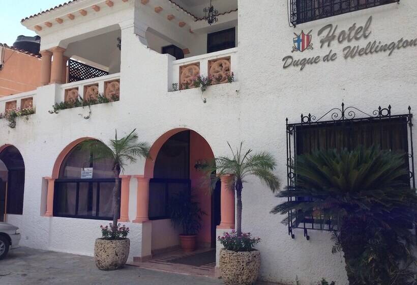 Fotos del hotel Duque De Wellington:  21