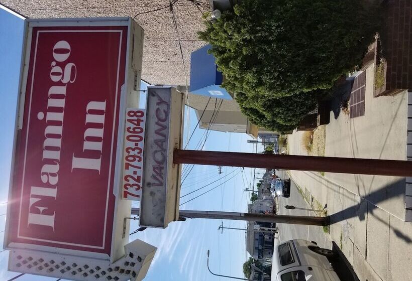 هتل Flamingo Inn