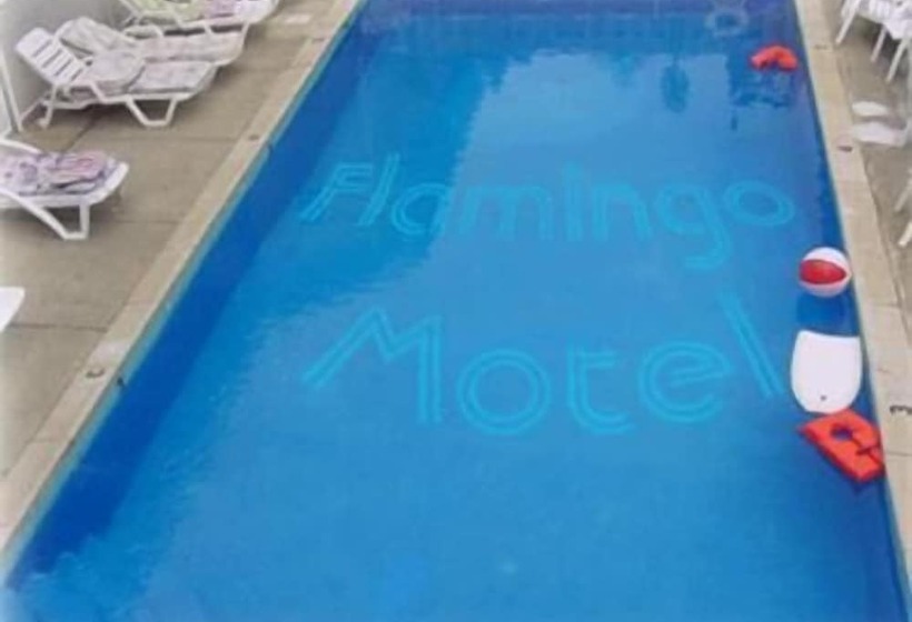 هتل Flamingo Inn