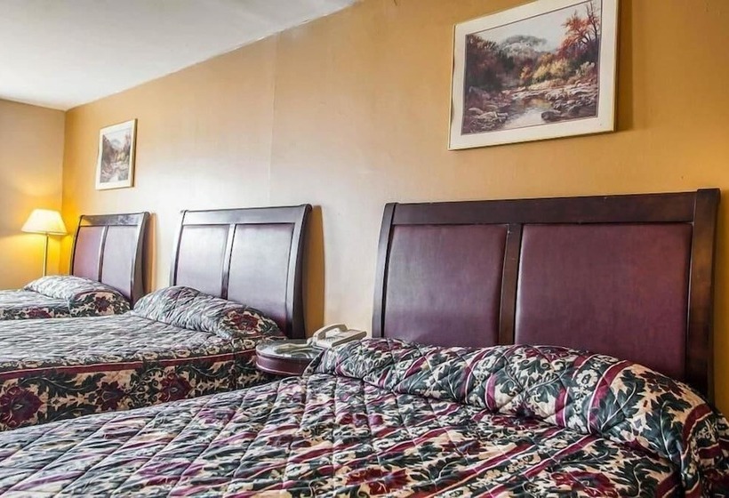 هتل Flamingo Inn
