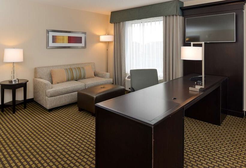 酒店 Hampton Inn & Suites Douglas
