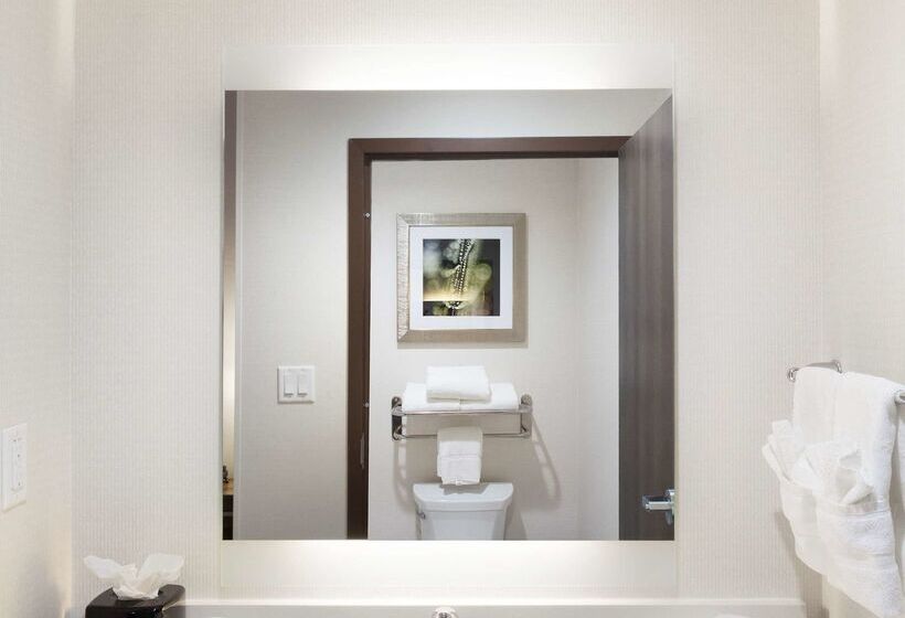 هتل Homewood Suites By Hilton Houston / Katy Mills Mall