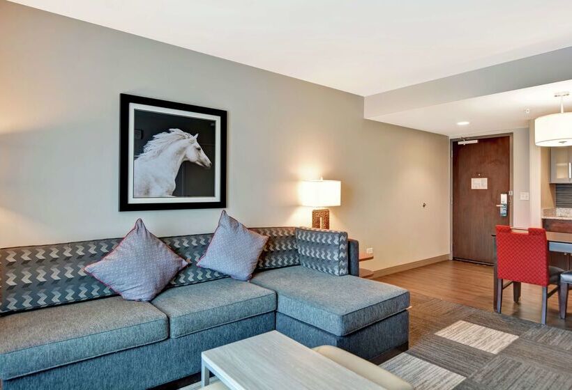 בית מלון כפרי Homewood Suites By Hilton Techridge Parmer @ I 35