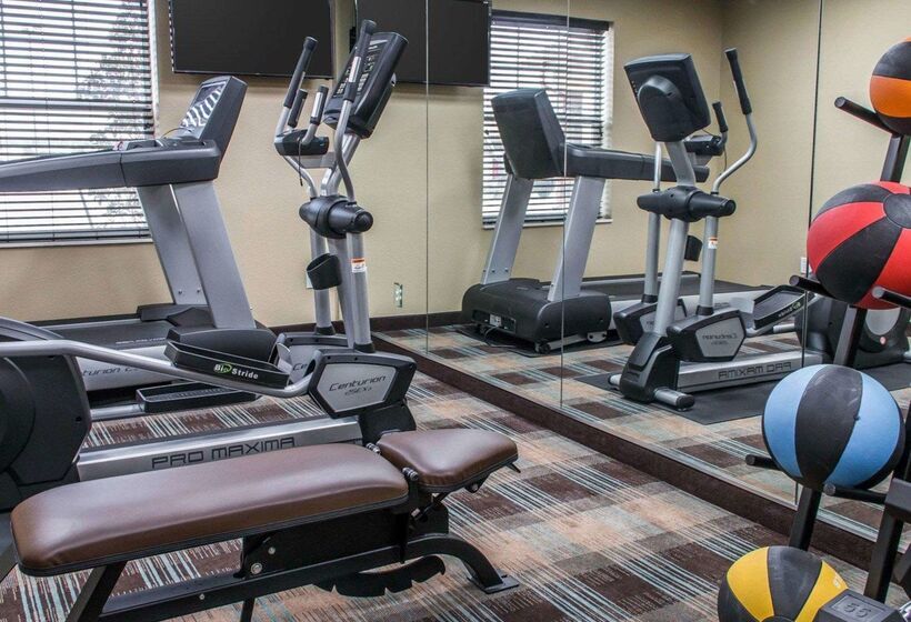 בית מלון כפרי Mainstay Suites Cotulla