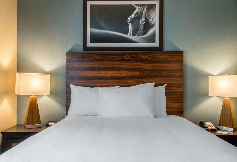 בית מלון כפרי Mainstay Suites Cotulla