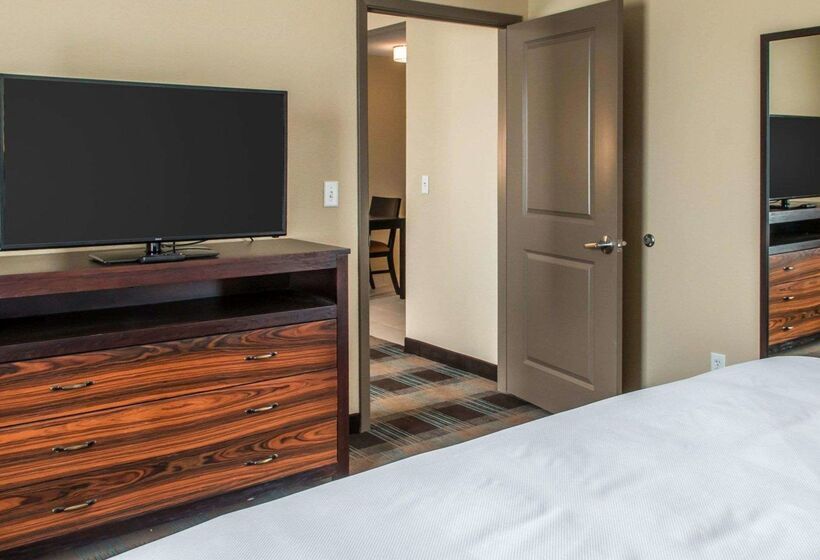 בית מלון כפרי Mainstay Suites Cotulla