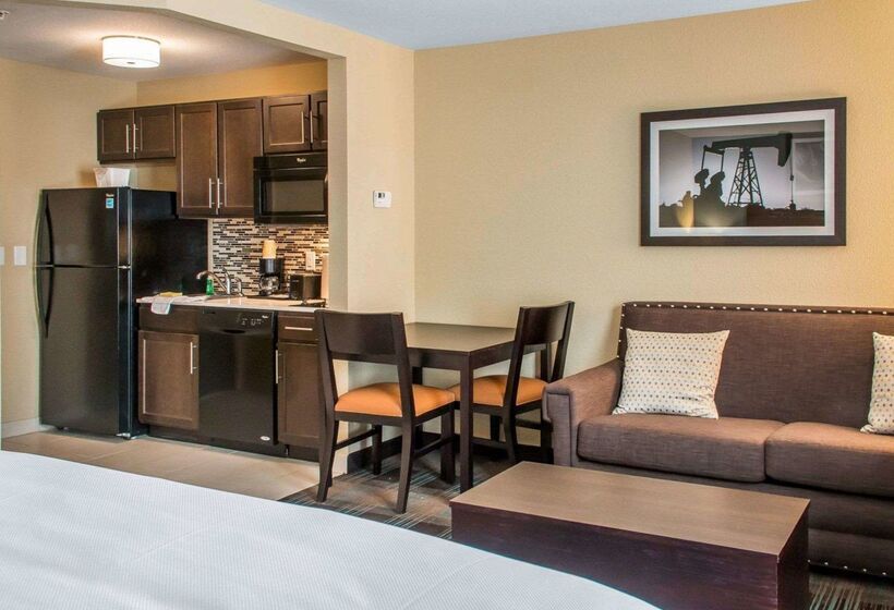 בית מלון כפרי Mainstay Suites Cotulla