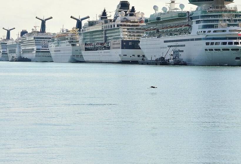 Fotos del hotel Monte Carlo By Miami Ambassadors:  5