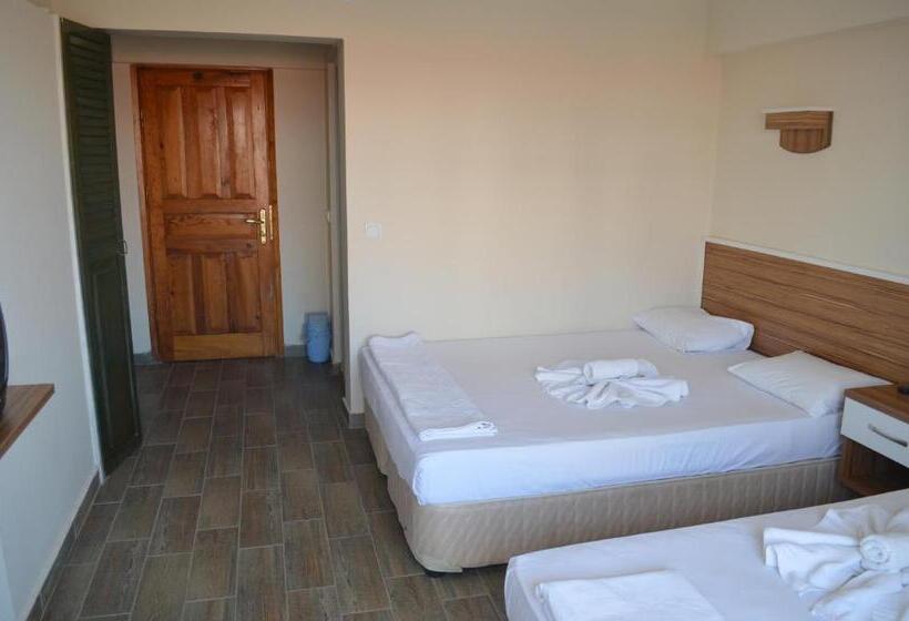Hotel Seda