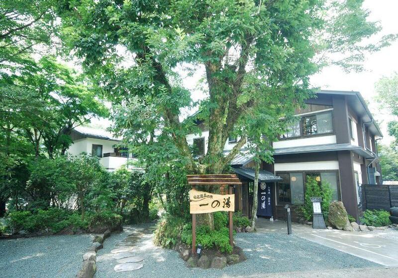 Fotos del hotel Shinanoki Ichinoyu:  4