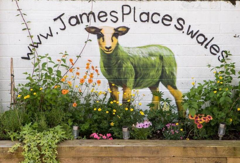 ベッドアンドブレックファースト James  Place At Brynawel