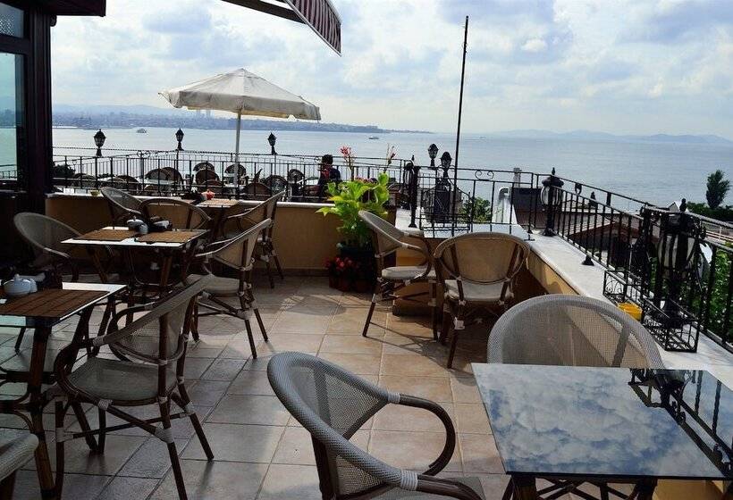 Fotos del hotel Alp Guesthouse:  11