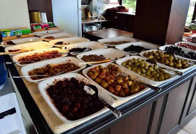 Fotos del hotel Alp Guesthouse:  3