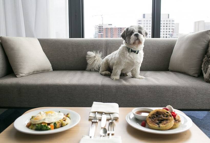 هتل Andaz Ottawa Byward Market, By Hyatt