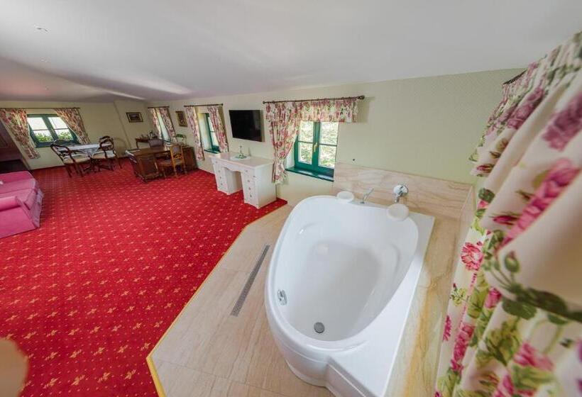 Boutique Hotel Pri Mlyne Lozorno