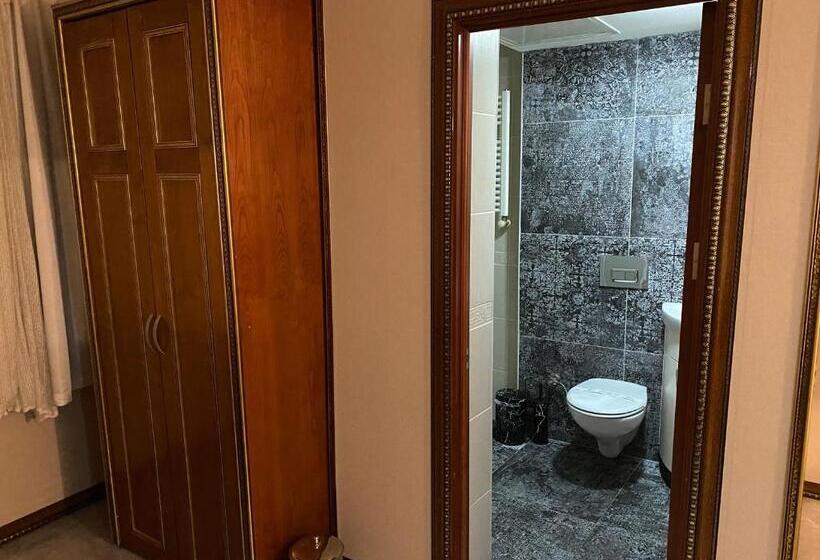 Fotos del hotel Grand Merin Airport:  24