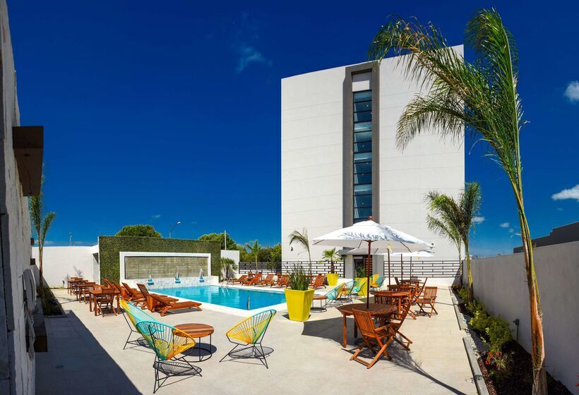 هتل Hampton Inn By Hilton Piedras Negras