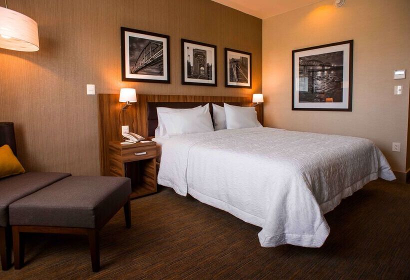 هتل Hampton Inn By Hilton Piedras Negras
