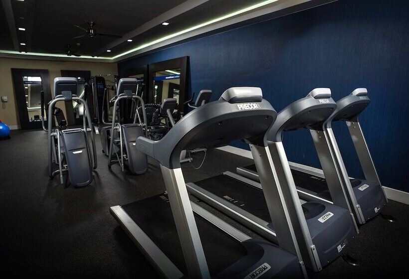 هتل Hampton Inn By Hilton Piedras Negras