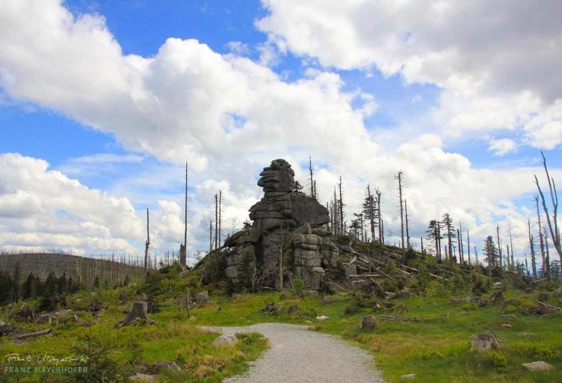 Отель Landgasthof Mayerhofer