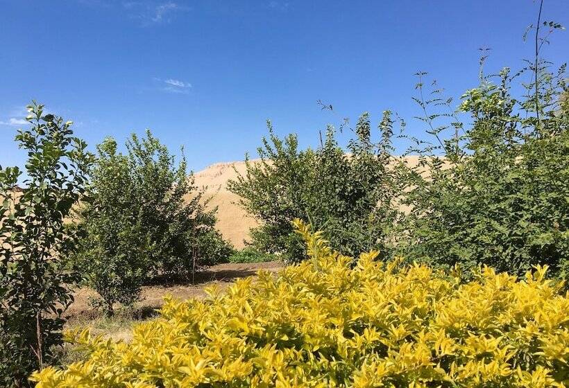 هتل New Memnon