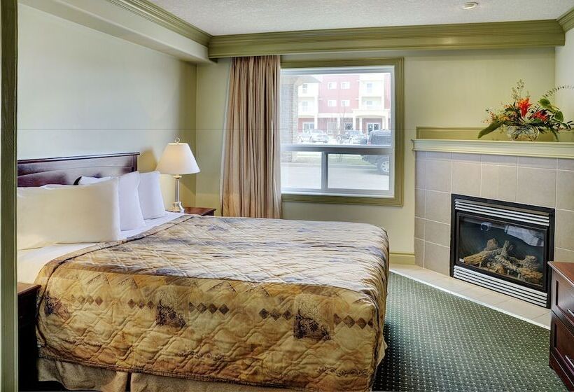 فندق Nova Inn Edson