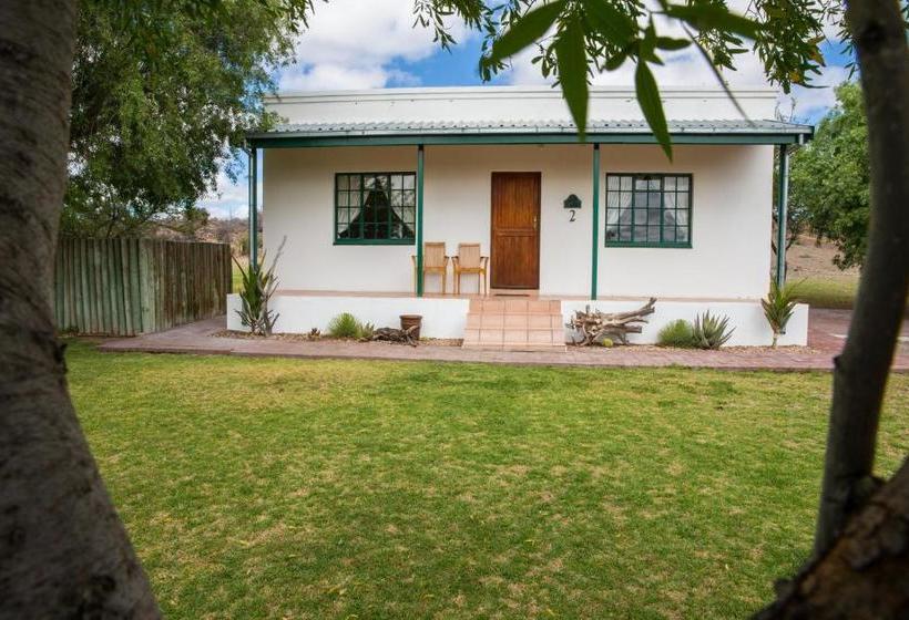 Olive Grove Guest Farm