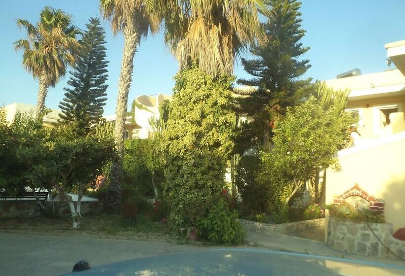 Afentoulis Studios